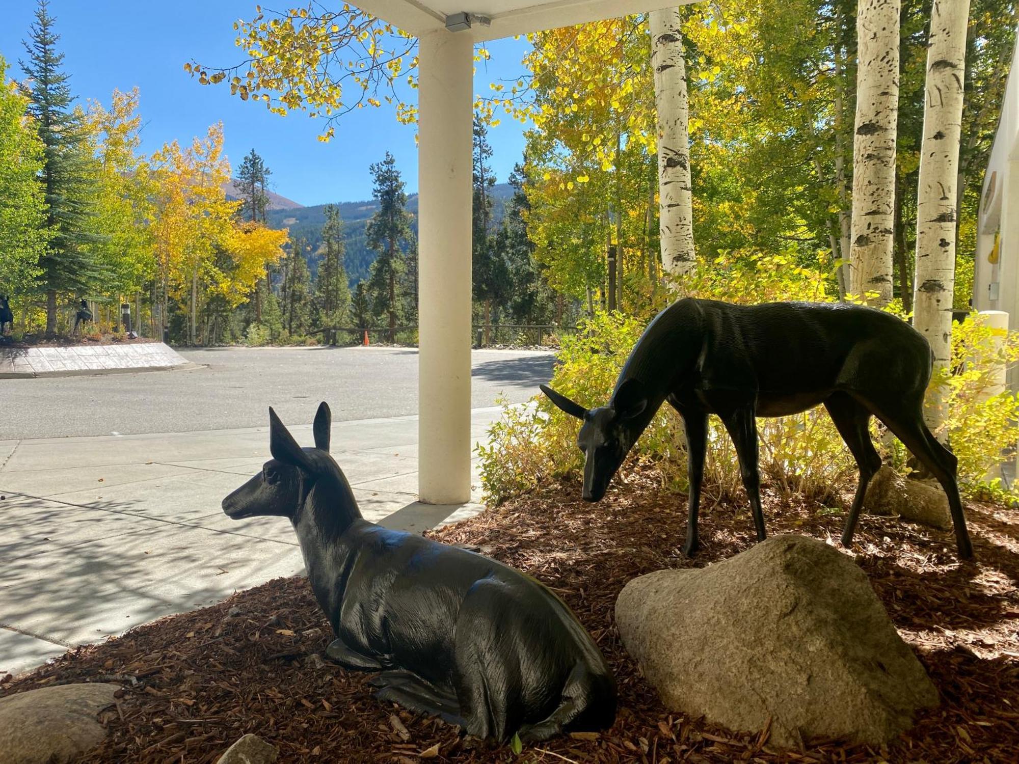 Wild Irishman 1043 By Summitcove Lodging Keystone Εξωτερικό φωτογραφία
